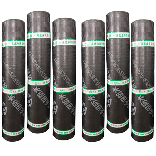 專業防水公司 專業防水公司